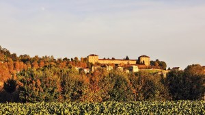 Moncalieri_Castello_Alamari Musicali